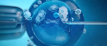 Скидка 20% на хранение эмбрионов/яйцеклеток